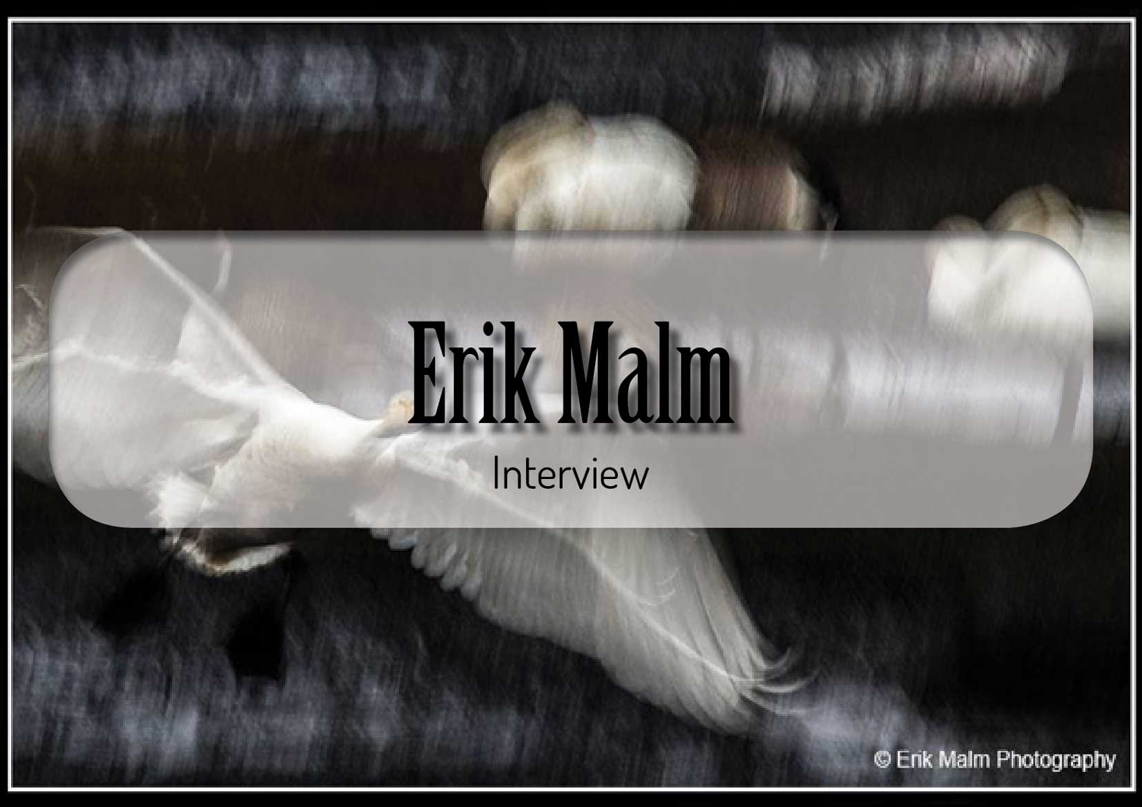 Eric Malm Interview